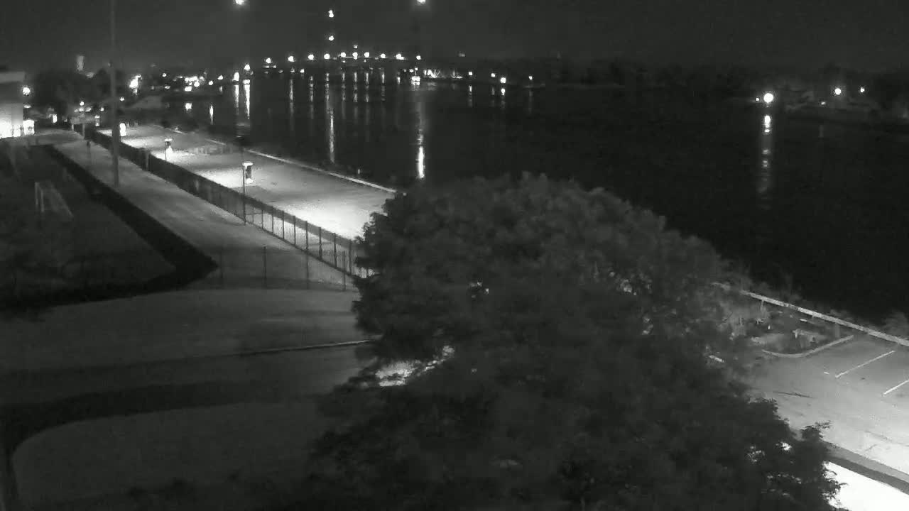 A nighttime, black-and-white view shows a paved walkway alongside a calm body of water, with lights illuminating the scene and a large tree partially obscuring the view.