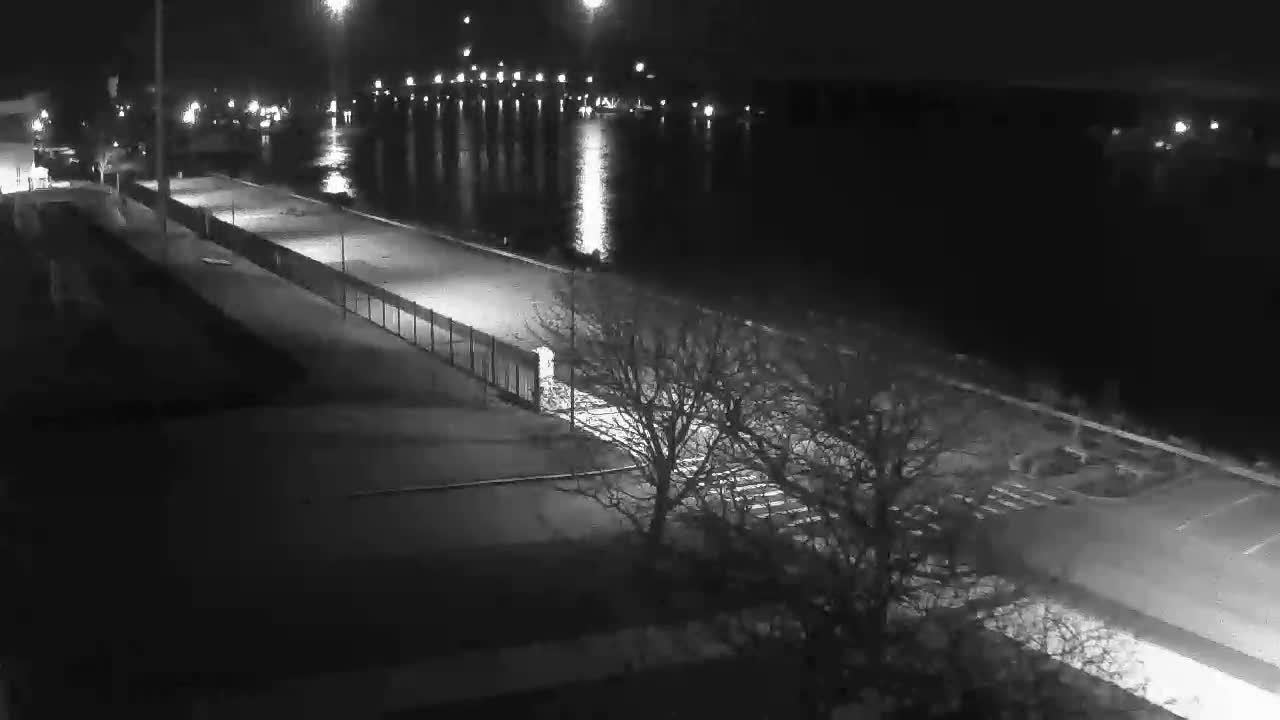 A monochromatic view depicts a clear winter night along a waterfront, with bare trees bordering a path illuminated by streetlights, and distant city lights reflecting on the calm water.