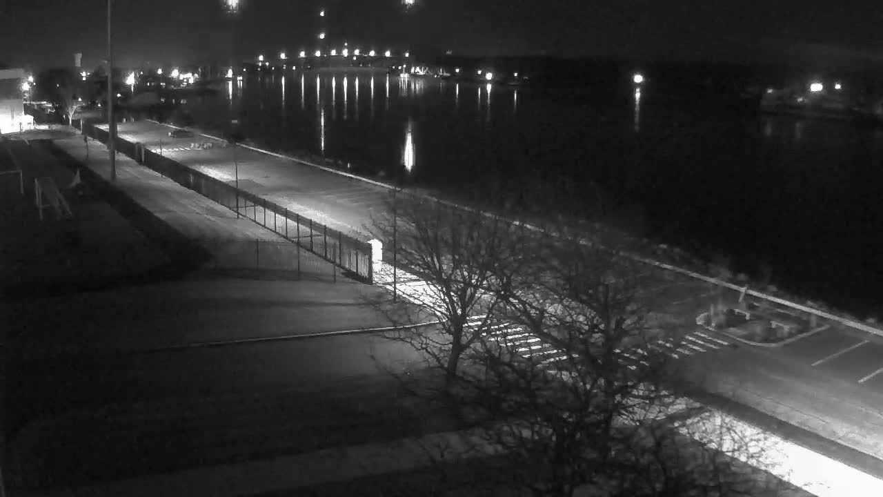 A nighttime black and white image displays a serene body of water reflecting numerous distant lights, bordered by a paved area with bare trees, a fence, and streetlights under clear skies.
