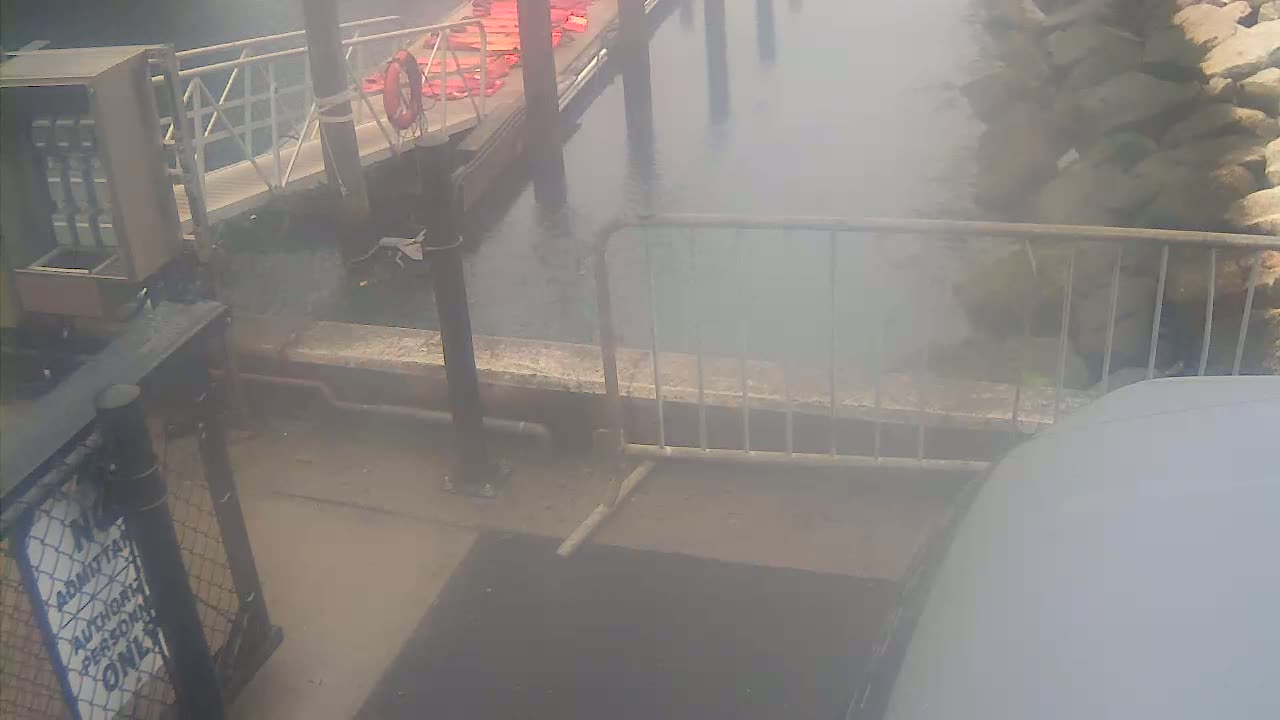 Bourne, Massachusetts Maritime Academy Pier Live Cam - Bourne, Barnstable, Massachusetts, USA