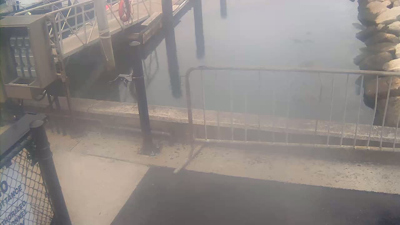 Bourne, Massachusetts Maritime Academy Pier Live Cam - Bourne, Barnstable, Massachusetts, USA
