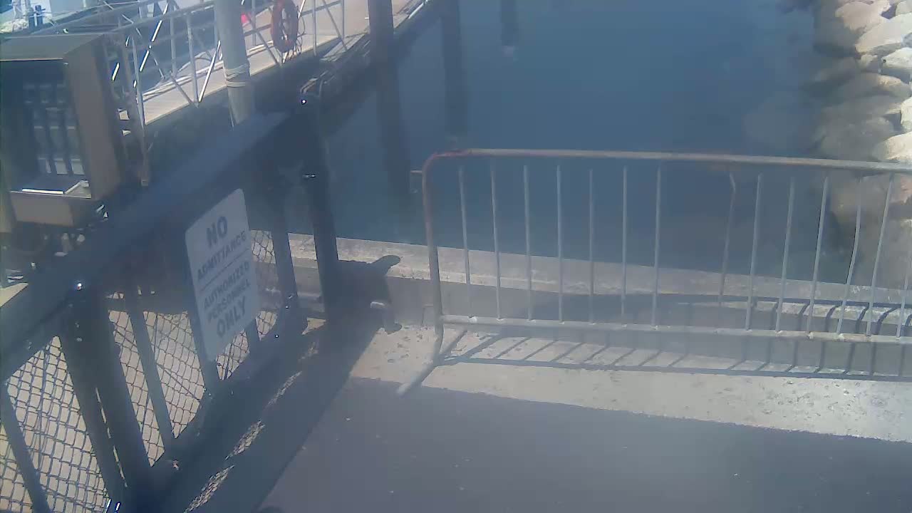 Bourne, Massachusetts Maritime Academy Pier Live Cam - Bourne, Barnstable, Massachusetts, USA