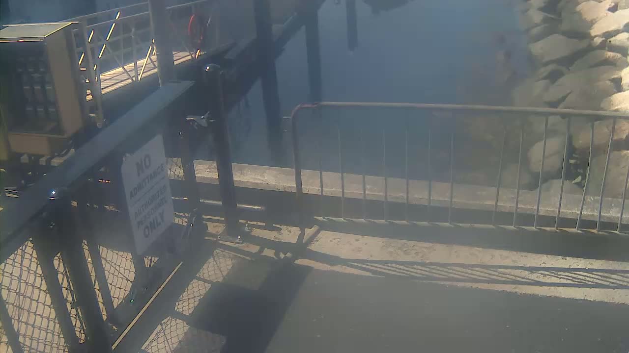 Bourne, Massachusetts Maritime Academy Pier Live Cam - Bourne, Barnstable, Massachusetts, USA