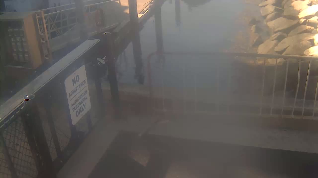 Bourne, Massachusetts Maritime Academy Pier Live Cam - Bourne, Barnstable, Massachusetts, USA
