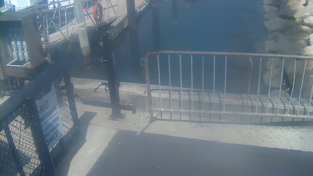 Bourne, Massachusetts Maritime Academy Pier Live Cam - Bourne, Barnstable, Massachusetts, USA