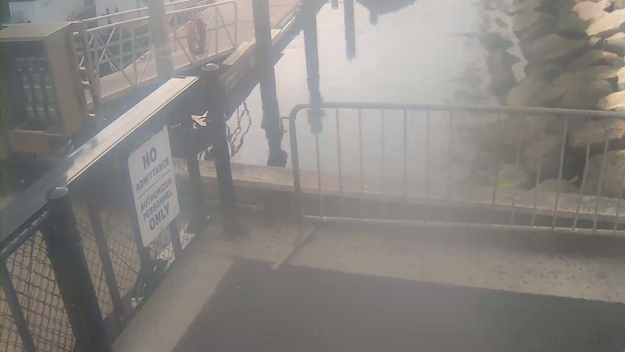 Bourne, Massachusetts Maritime Academy Pier Live Cam - Bourne, Barnstable, Massachusetts, USA