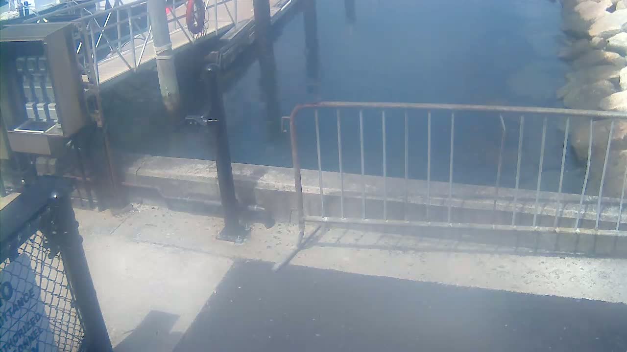 Bourne, Massachusetts Maritime Academy Pier Live Cam - Bourne, Barnstable, Massachusetts, USA