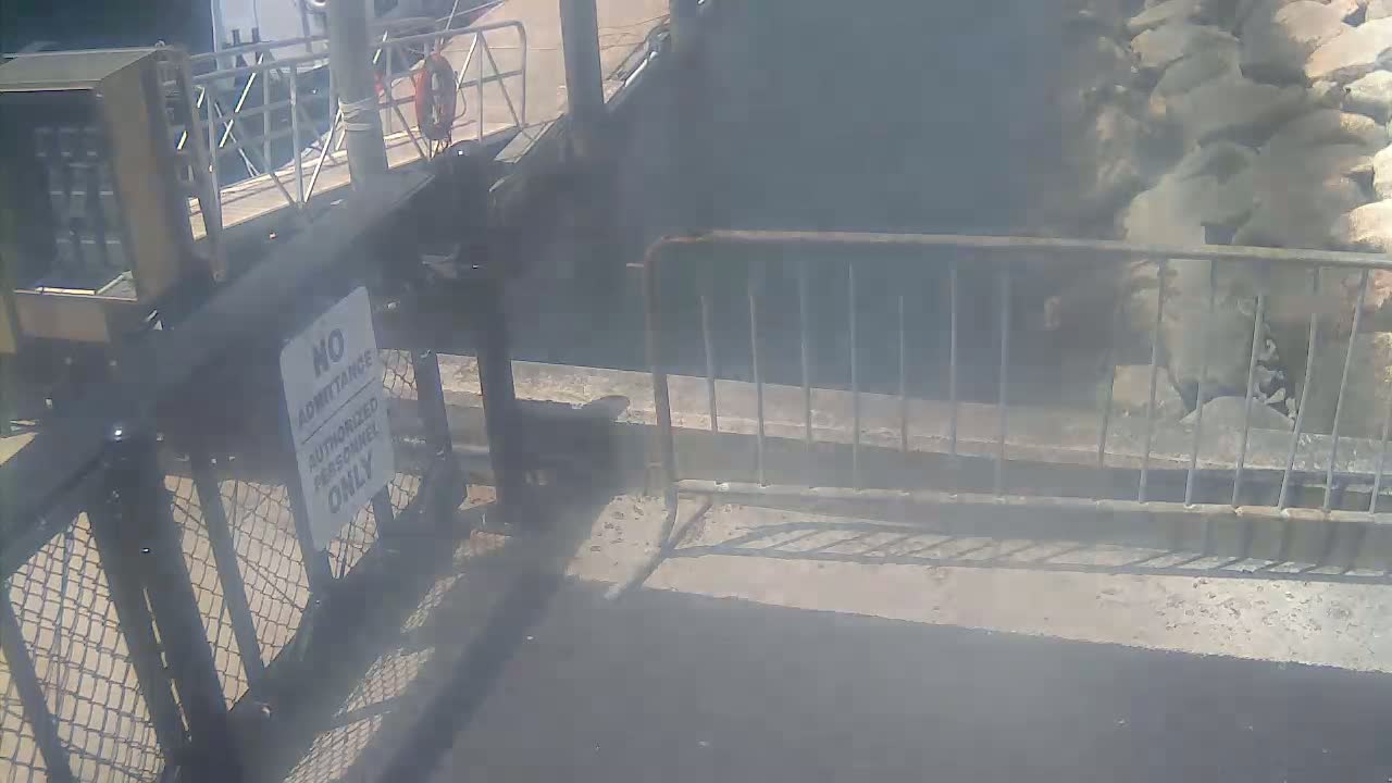 Bourne, Massachusetts Maritime Academy Pier Live Cam - Bourne, Barnstable, Massachusetts, USA