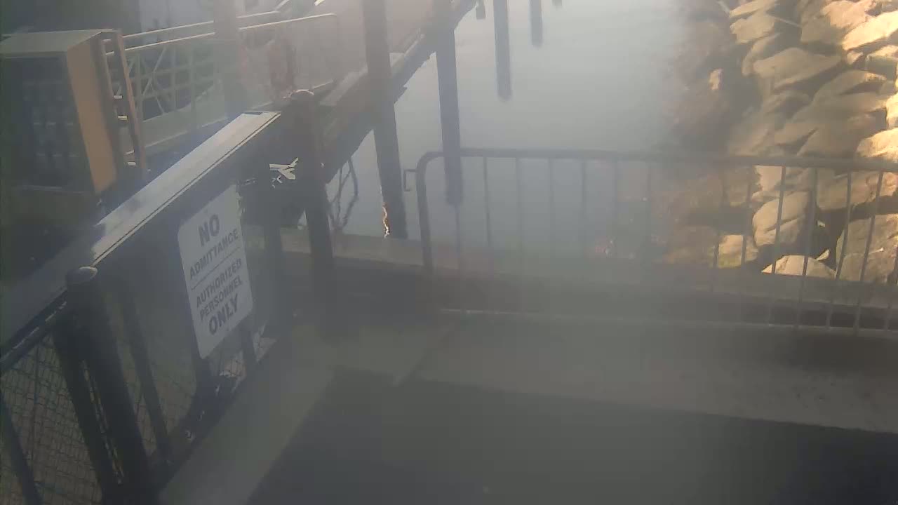 Bourne, Massachusetts Maritime Academy Pier Live Cam - Bourne, Barnstable, Massachusetts, USA