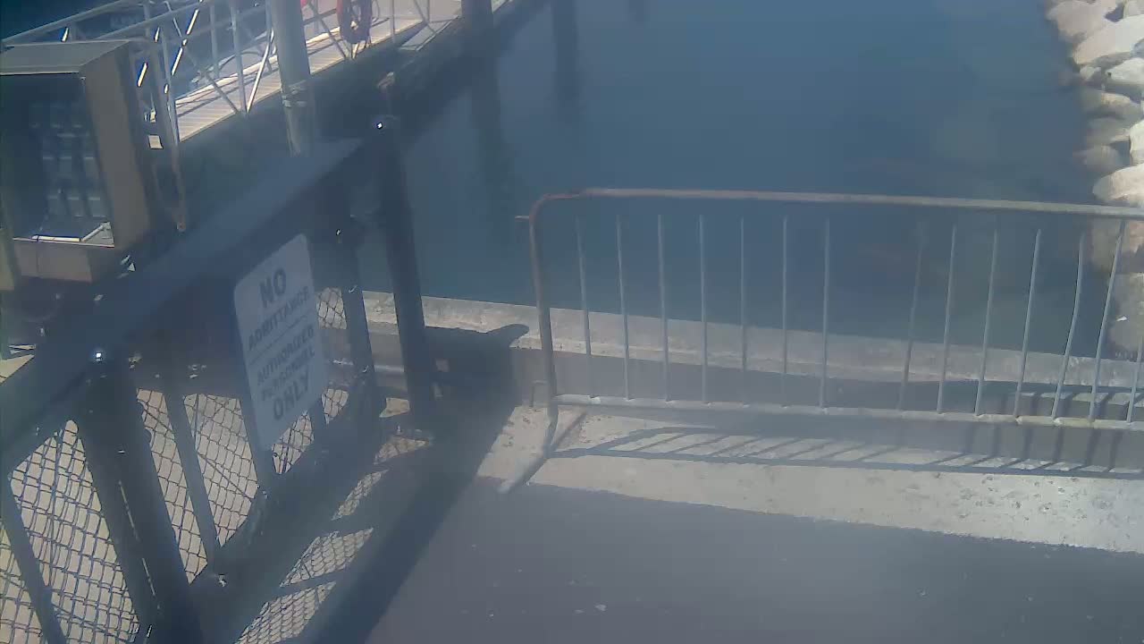 Bourne, Massachusetts Maritime Academy Pier Live Cam - Bourne, Barnstable, Massachusetts, USA