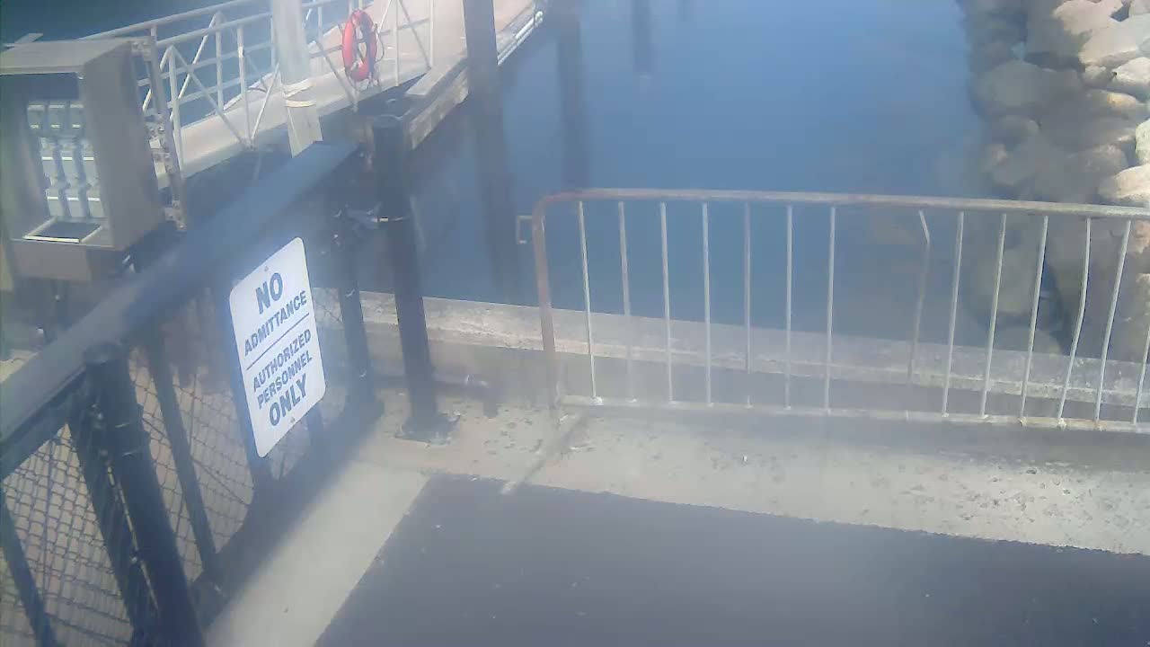Bourne, Massachusetts Maritime Academy Pier Live Cam - Bourne, Barnstable, Massachusetts, USA