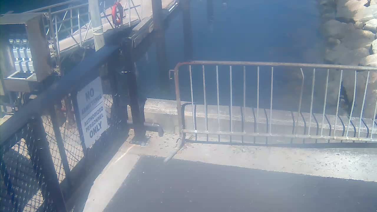 Bourne, Massachusetts Maritime Academy Pier Live Cam - Bourne, Barnstable, Massachusetts, USA