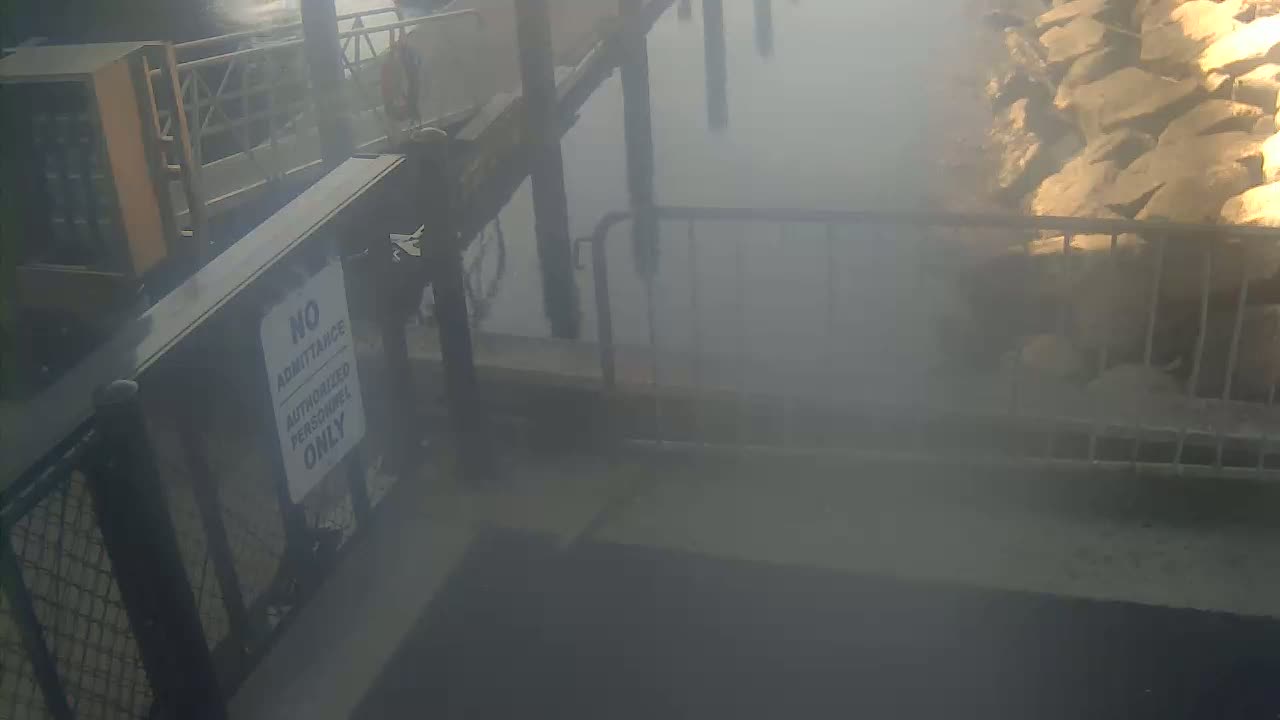 Bourne, Massachusetts Maritime Academy Pier Live Cam - Bourne, Barnstable, Massachusetts, USA