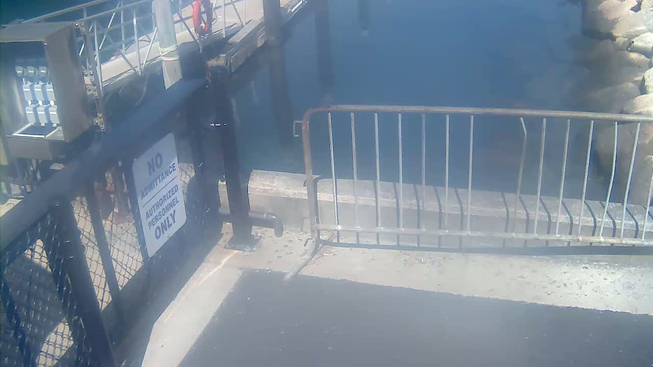 Bourne, Massachusetts Maritime Academy Pier Live Cam - Bourne, Barnstable, Massachusetts, USA