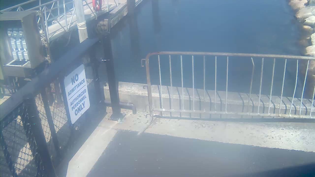 Bourne, Massachusetts Maritime Academy Pier Live Cam - Bourne, Barnstable, Massachusetts, USA
