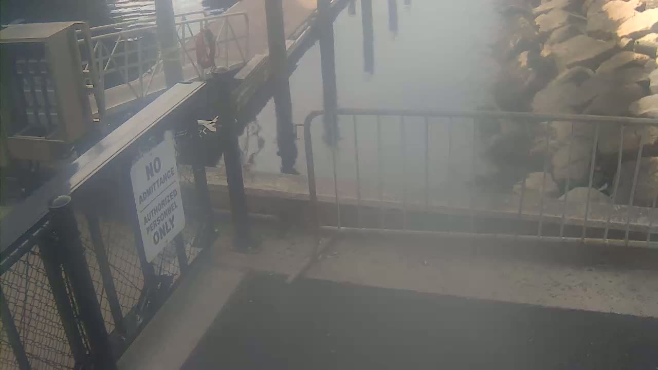 Bourne, Massachusetts Maritime Academy Pier Live Cam - Bourne, Barnstable, Massachusetts, USA