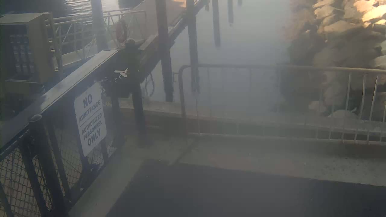 Bourne, Massachusetts Maritime Academy Pier Live Cam - Bourne, Barnstable, Massachusetts, USA