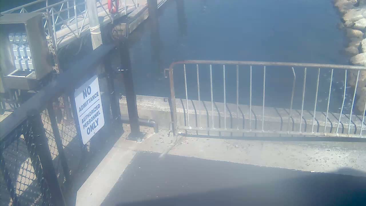 Bourne, Massachusetts Maritime Academy Pier Live Cam - Bourne, Barnstable, Massachusetts, USA