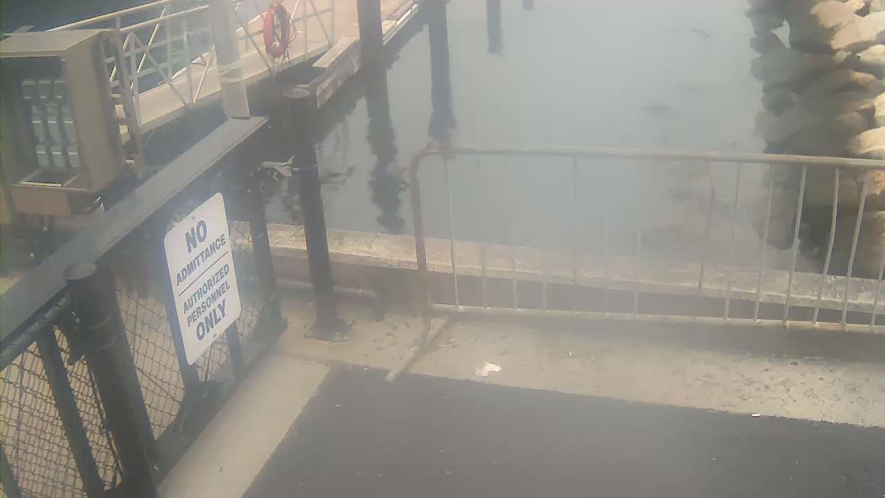A hazy view of a dock area with a metal gate and "No Admittance" sign, partially obscured by fog or mist.