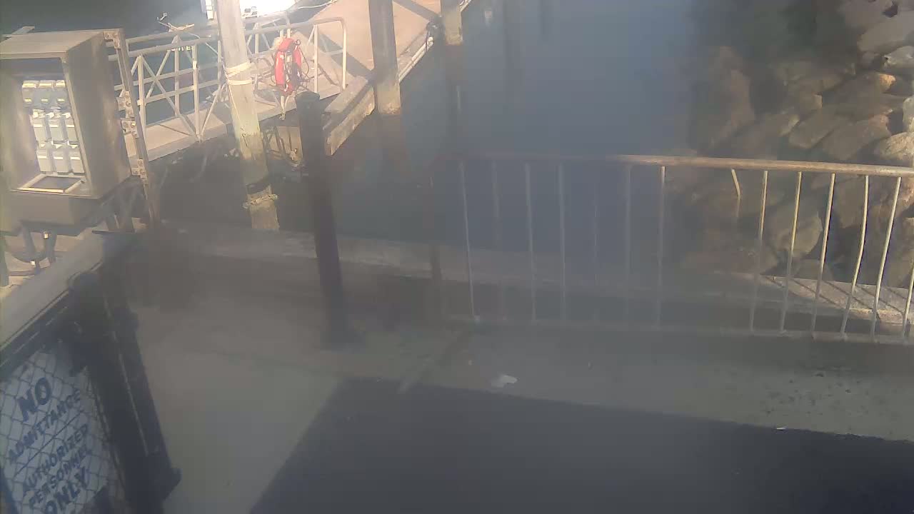 A hazy view of a dock area with a metal gate and "No Admittance" sign, partially obscured by fog or mist.