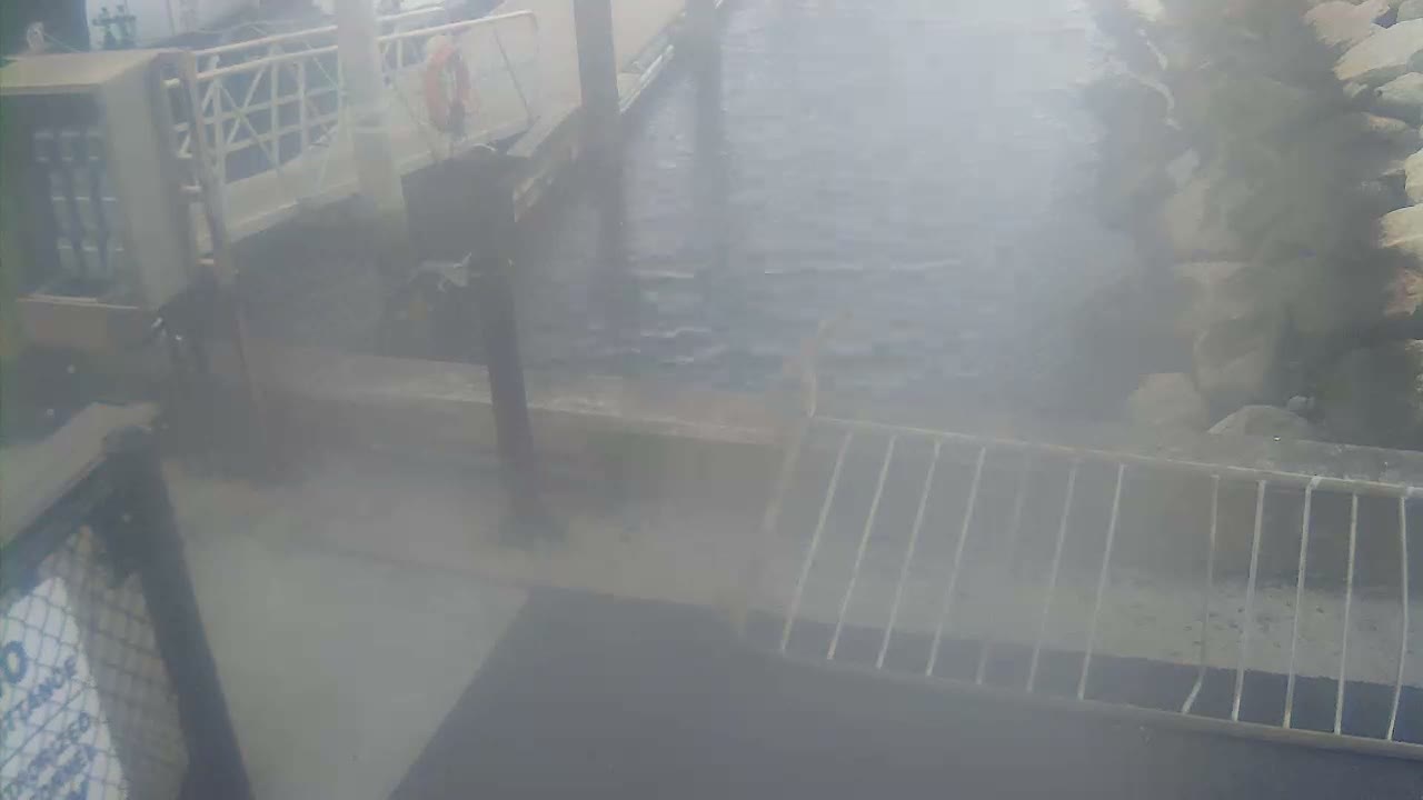 Bourne, Massachusetts Maritime Academy Pier Live Cam - Bourne, Barnstable, Massachusetts, USA