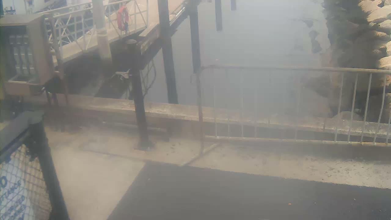 Bourne, Massachusetts Maritime Academy Pier Live Cam - Bourne, Barnstable, Massachusetts, USA