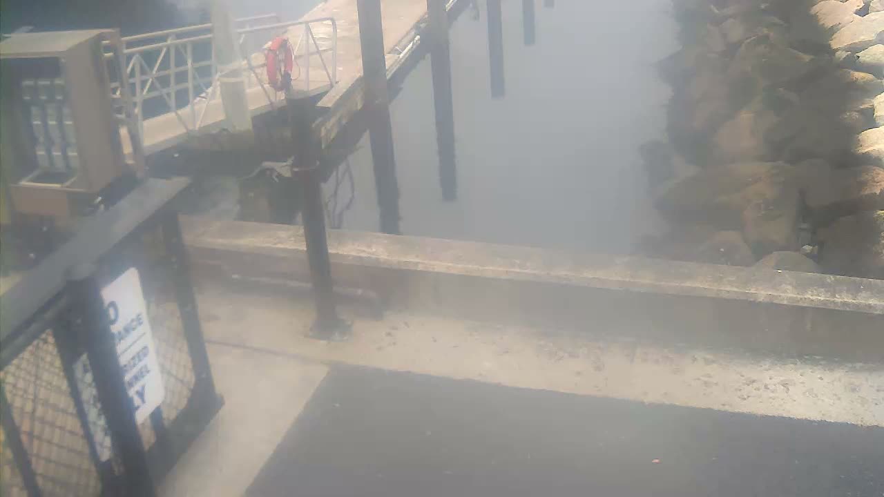 An overcast outdoor scene shows a calm grey body of water bordered by a dock with a white railing and red lifebuoy on the left, a rocky embankment on the right, and a concrete barrier in the foreground.