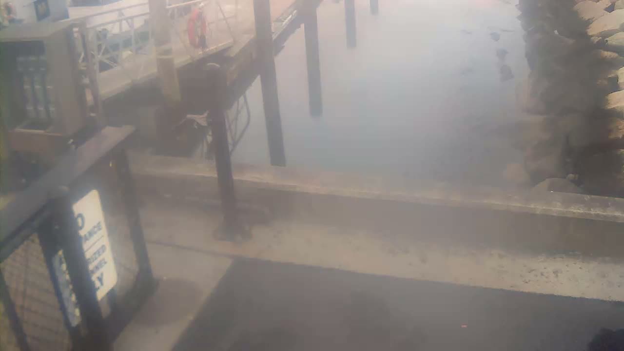 Bourne, Massachusetts Maritime Academy Pier Live Cam - Bourne, Barnstable, Massachusetts, USA