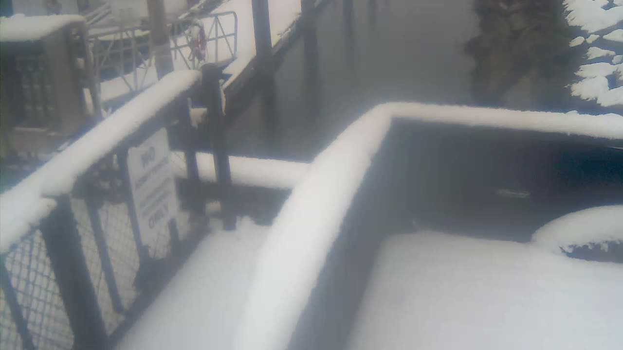 A blurry and very dark night image shows a person standing on a paved surface near a low wall, with urban structures faintly visible in the background.