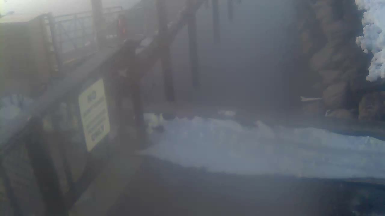 Bourne, Massachusetts Maritime Academy Pier Live Cam - Bourne, Barnstable, Massachusetts, USA