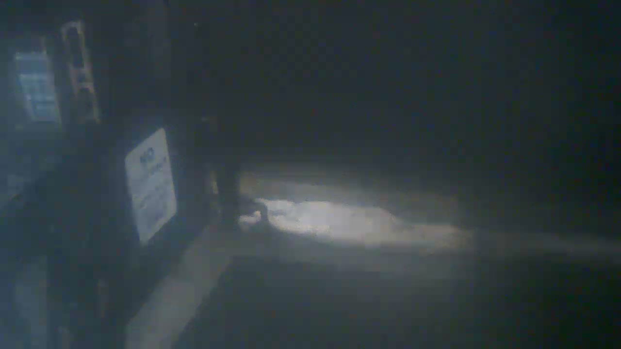Bourne, Massachusetts Maritime Academy Pier Live Cam - Bourne, Barnstable, Massachusetts, USA