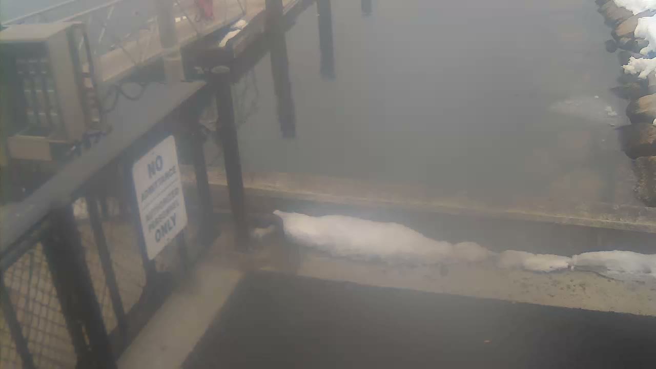 Bourne, Massachusetts Maritime Academy Pier Live Cam - Bourne, Barnstable, Massachusetts, USA