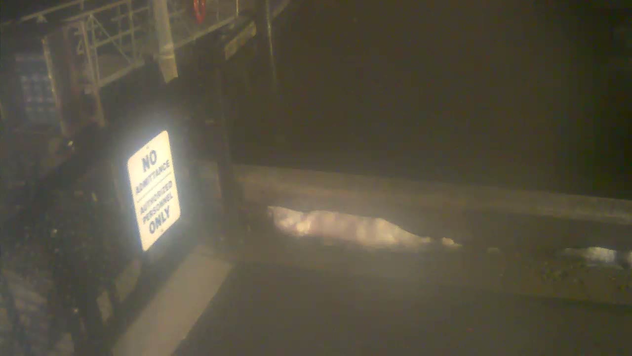 Bourne, Massachusetts Maritime Academy Pier Live Cam - Bourne, Barnstable, Massachusetts, USA