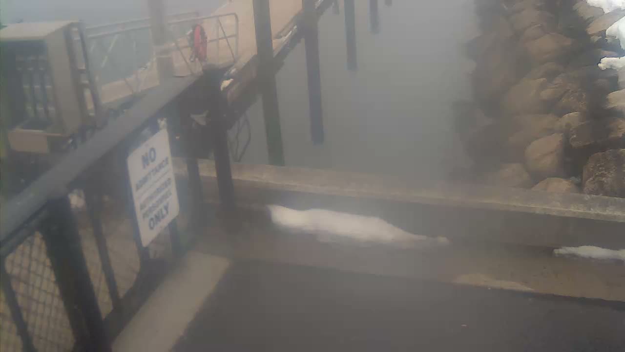 Bourne, Massachusetts Maritime Academy Pier Live Cam - Bourne, Barnstable, Massachusetts, USA