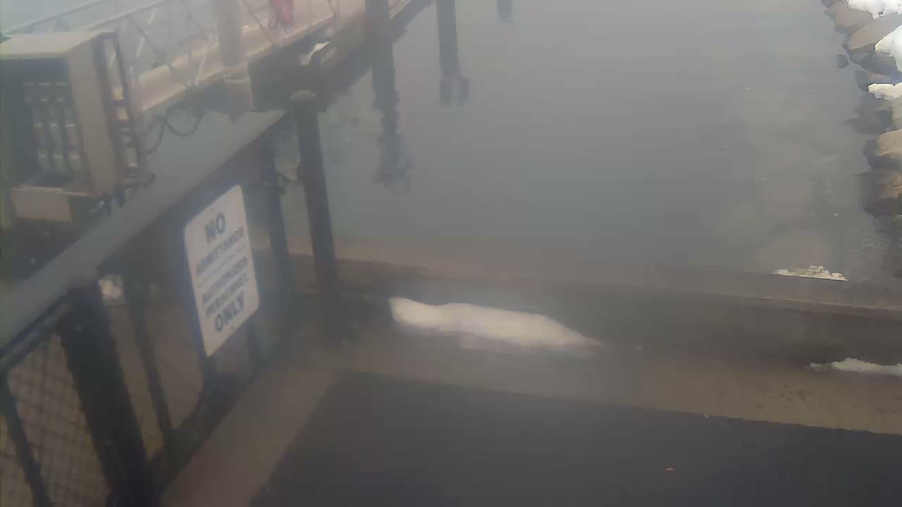 Bourne, Massachusetts Maritime Academy Pier Live Cam - Bourne, Barnstable, Massachusetts, USA
