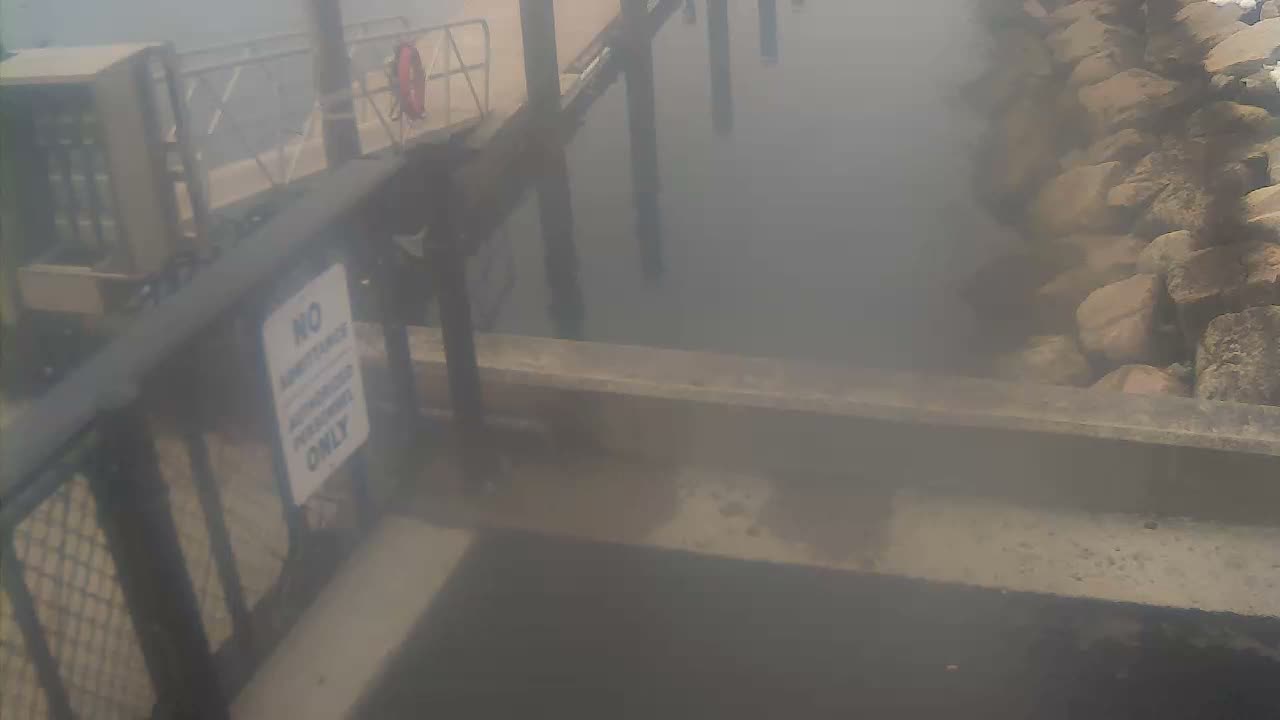Bourne, Massachusetts Maritime Academy Pier Live Cam - Bourne, Barnstable, Massachusetts, USA