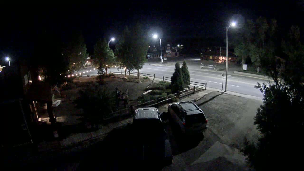 Two vehicles are parked in a driveway at night, across from a street lit by lampposts under a clear, dark sky.