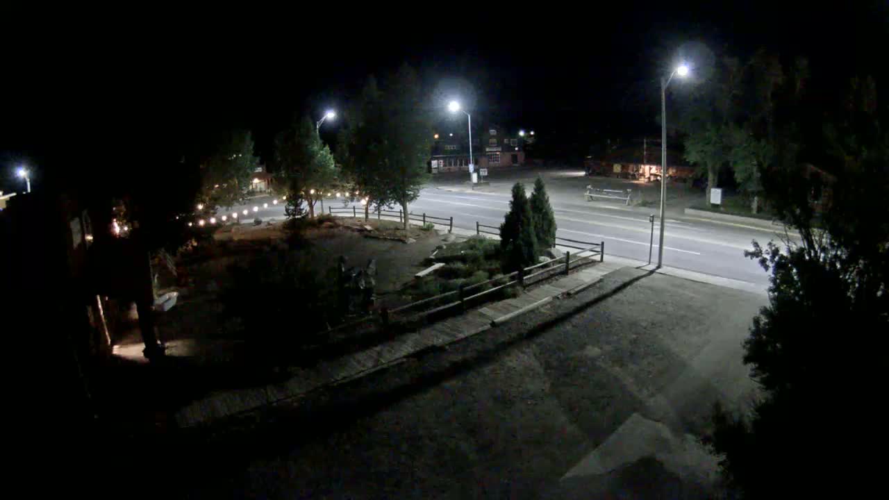 A nighttime view of a street scene with several streetlights illuminating a road and a landscaped area with trees and shrubs.
