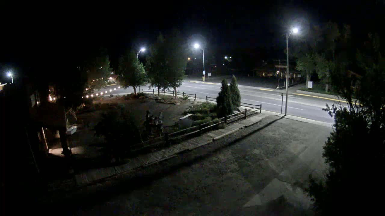 A nighttime, outdoor view shows a small landscaped area next to a road illuminated by streetlights.