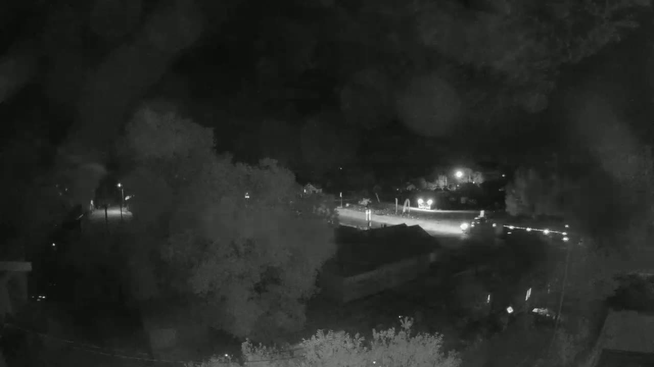 A nighttime, overcast view of a road with vehicles and streetlights, partially obscured by trees.