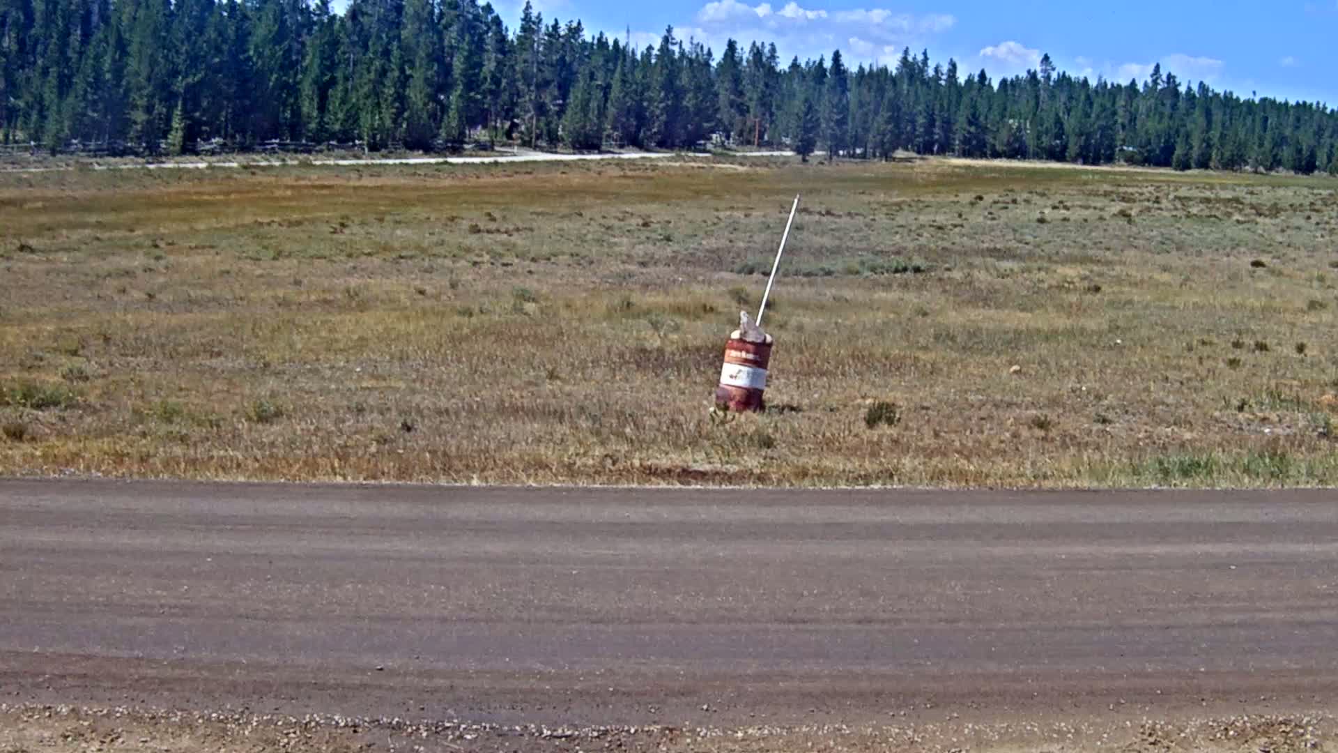 A rusty barrel with a white pole attached sits in a dry, grassy field under a partly cloudy sky, next to a dark dirt road bordered by a dense forest in the background.