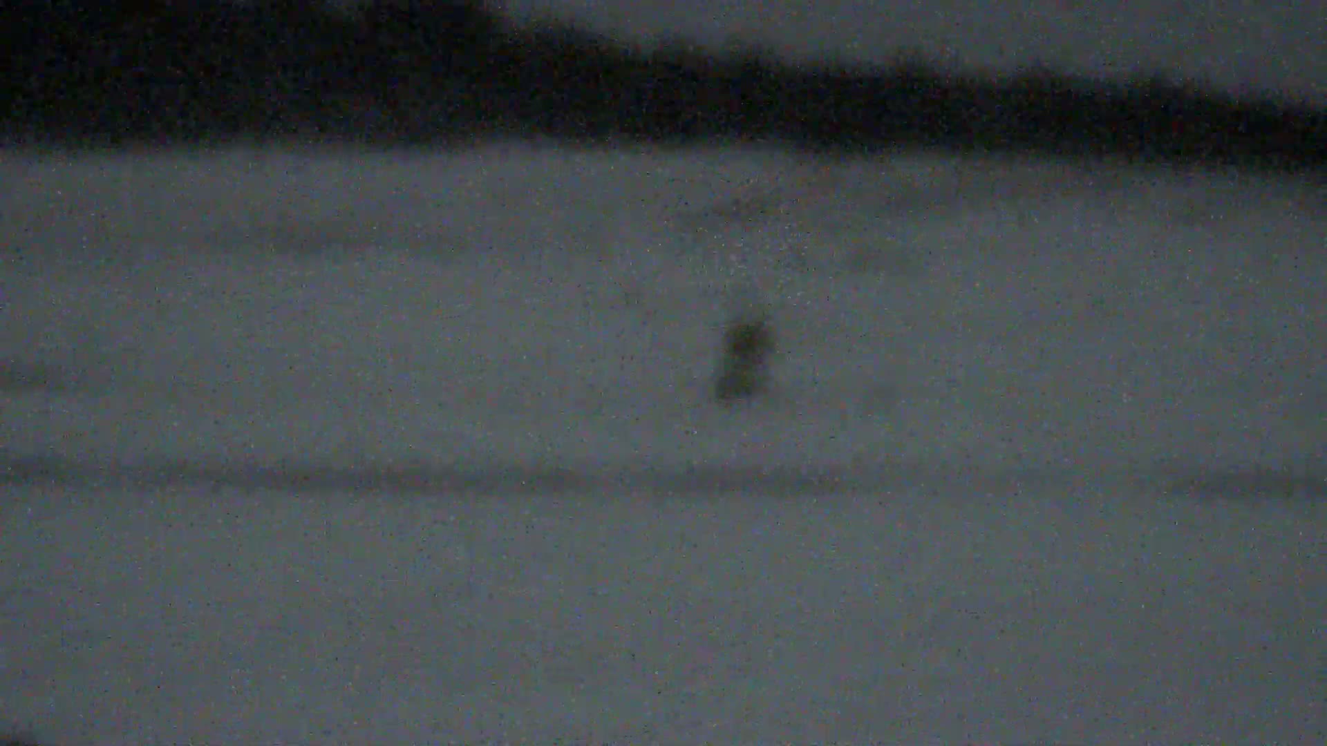 A dark, grainy, and blurry image shows a snow-covered field under dim, overcast skies, with a faint dark shape standing in the distant center before a dark, blurry horizon.