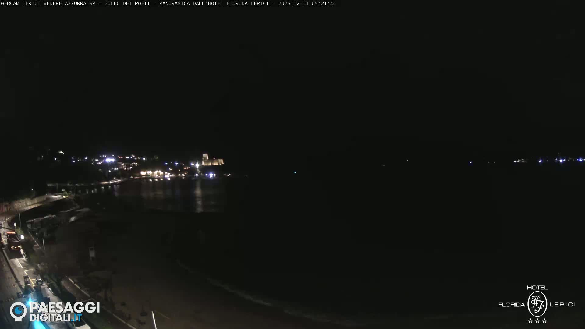 A nighttime view of a dark shoreline with faintly lit buildings across a body of water.