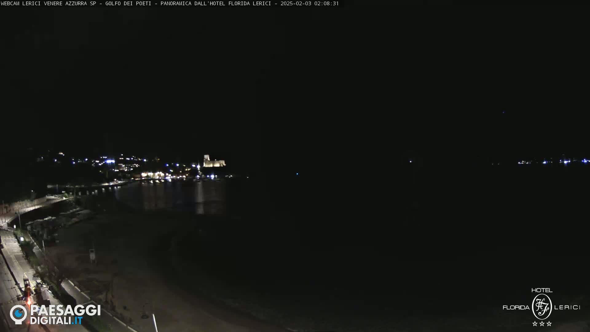 A nighttime coastal scene shows a dark body of water, a dimly lit shoreline with a road, and a distant, faintly illuminated town under a clear, dark sky.
