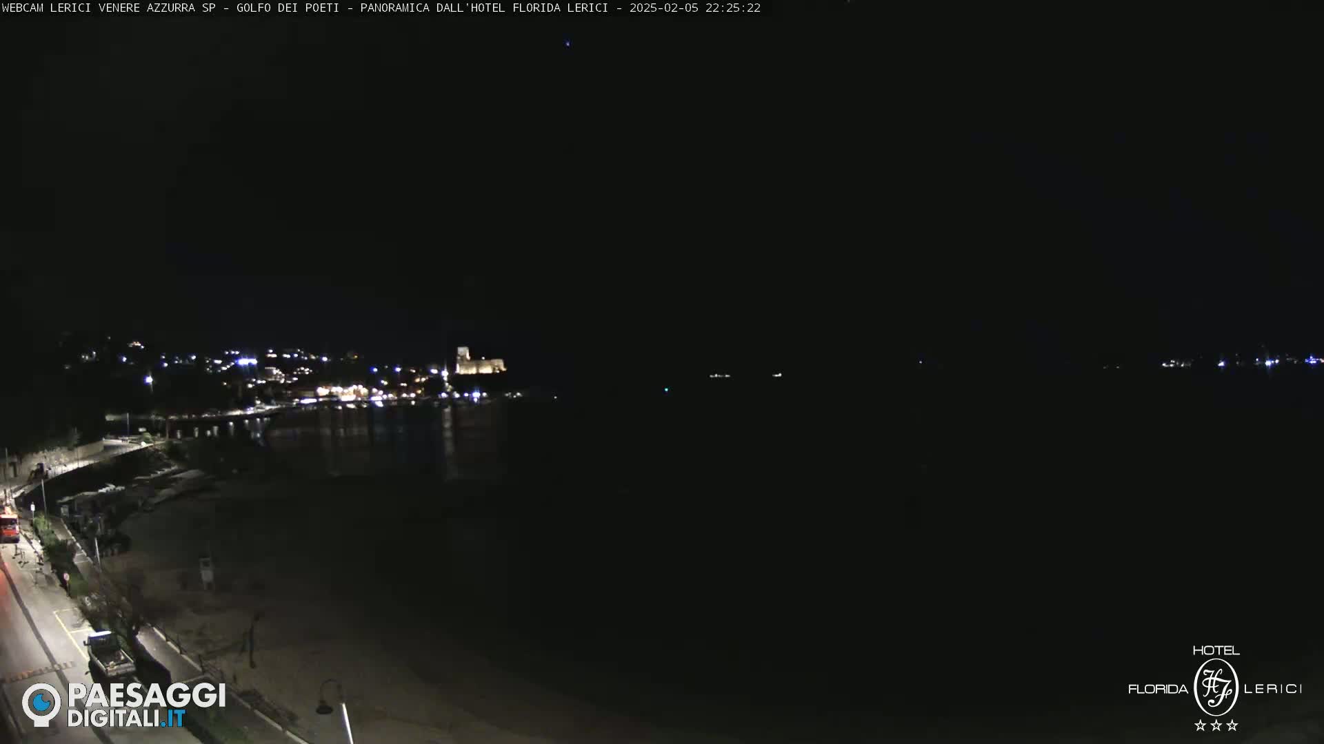 A nighttime view of a dark coastline with a few lights visible in the distance, illuminated by the moon and stars.