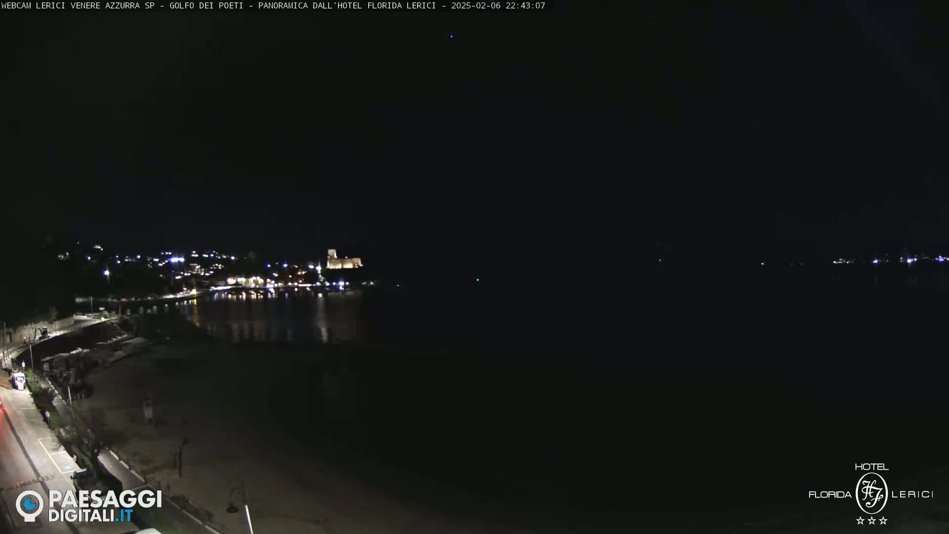 A nighttime view of a dark, calm body of water with a dimly lit town across the water.
