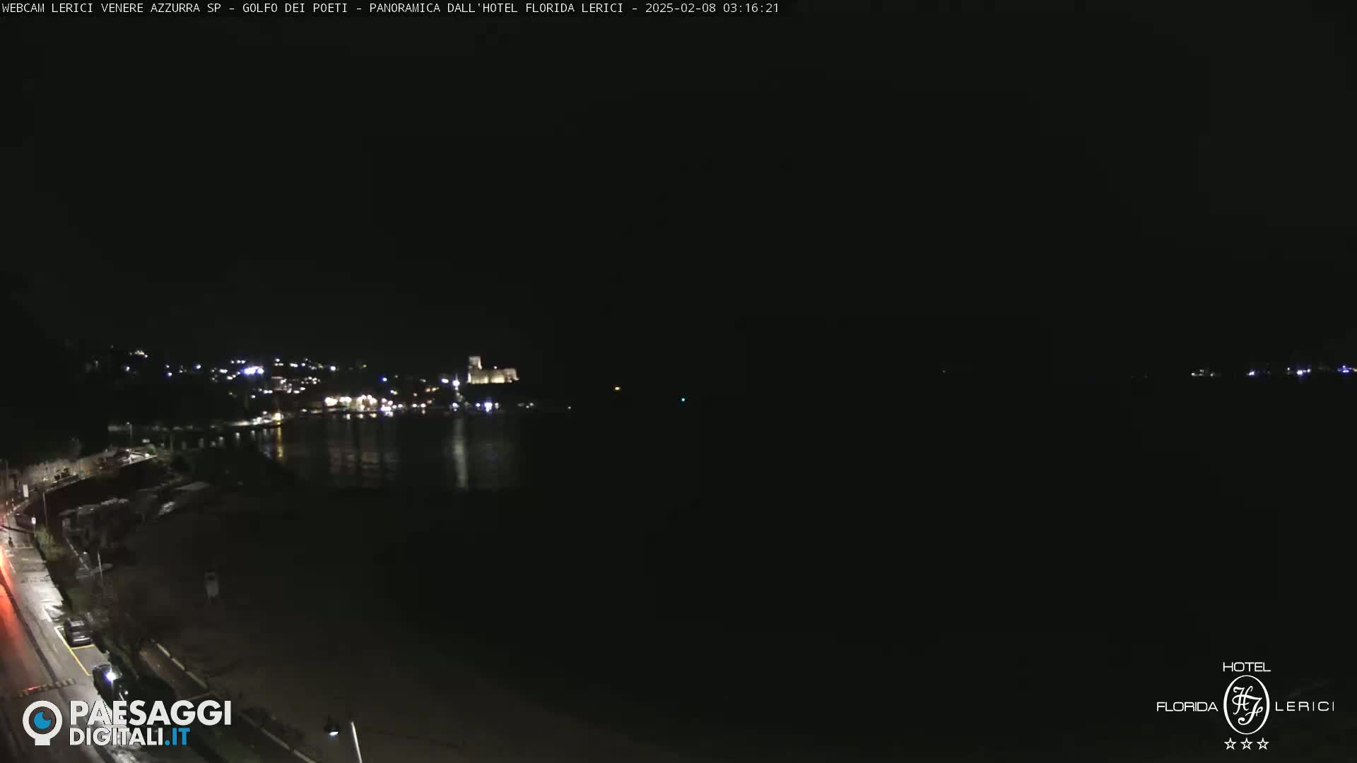 A nighttime view of a dark coastline with a faintly lit town across the water.
