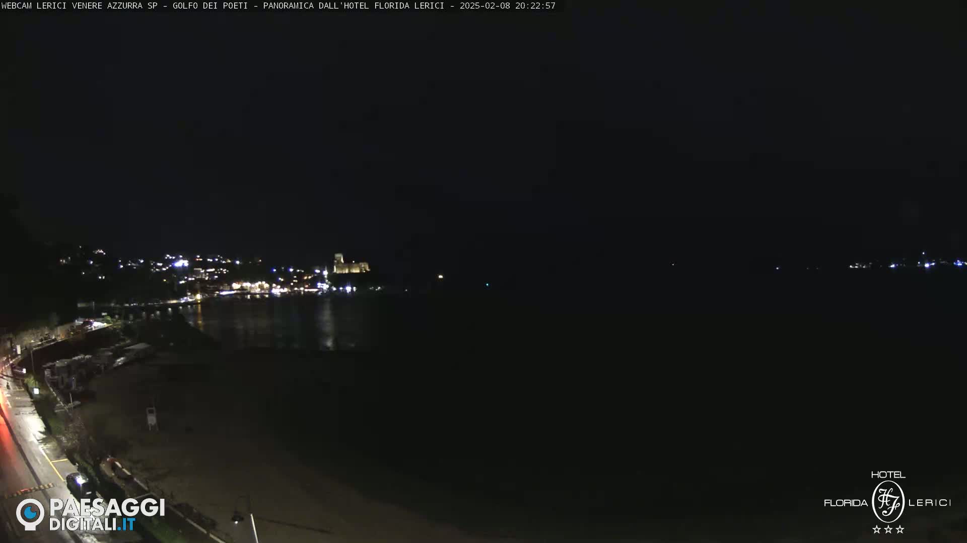A nighttime view of a dark, calm body of water with a dimly lit town and shoreline visible in the distance.