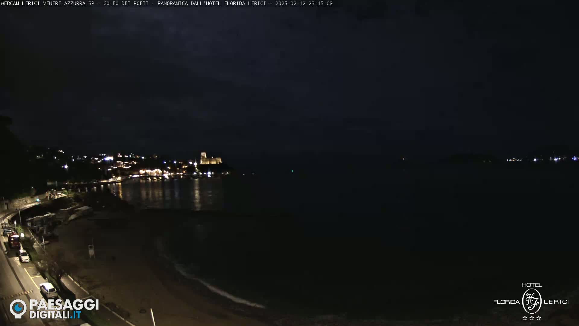 A nighttime view of a dark, calm body of water with a dimly lit town and a castle visible in the distance.