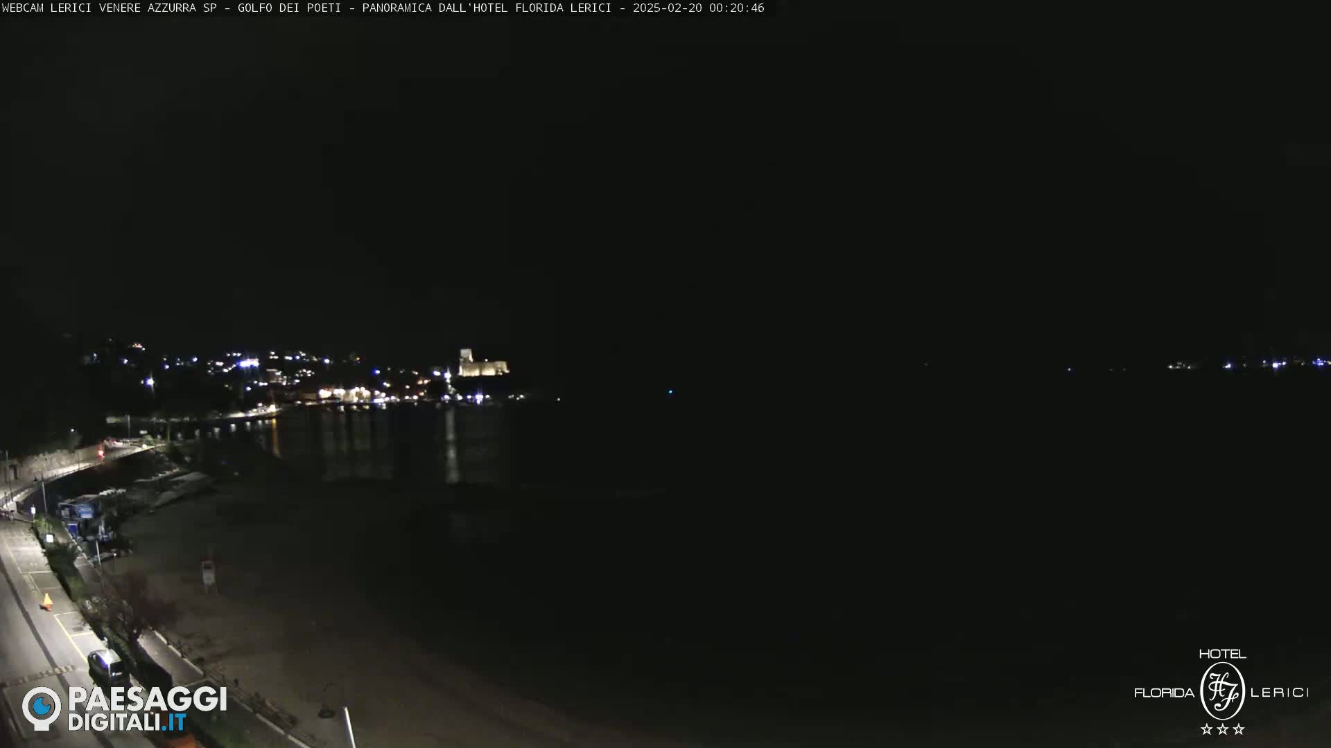 A nighttime view of a dark, calm body of water next to a dimly lit town and shoreline.